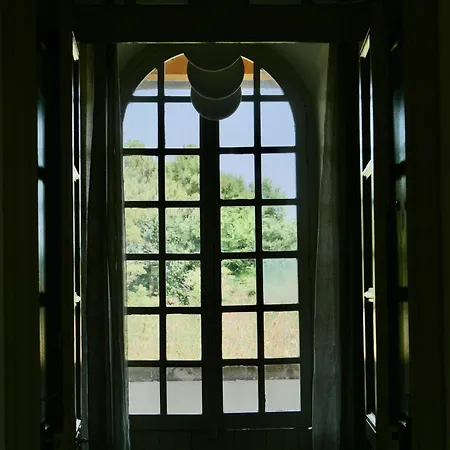 Douceur Girondine Saint-Selve