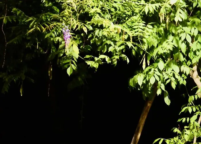 Feriehus Douceur Girondine